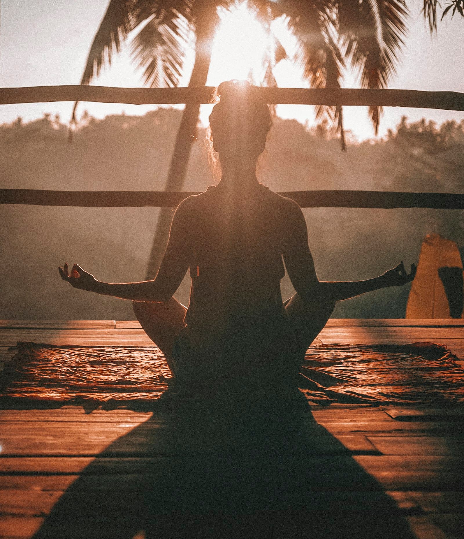 Mindfulness Counseling in MN & GA specialty visual
